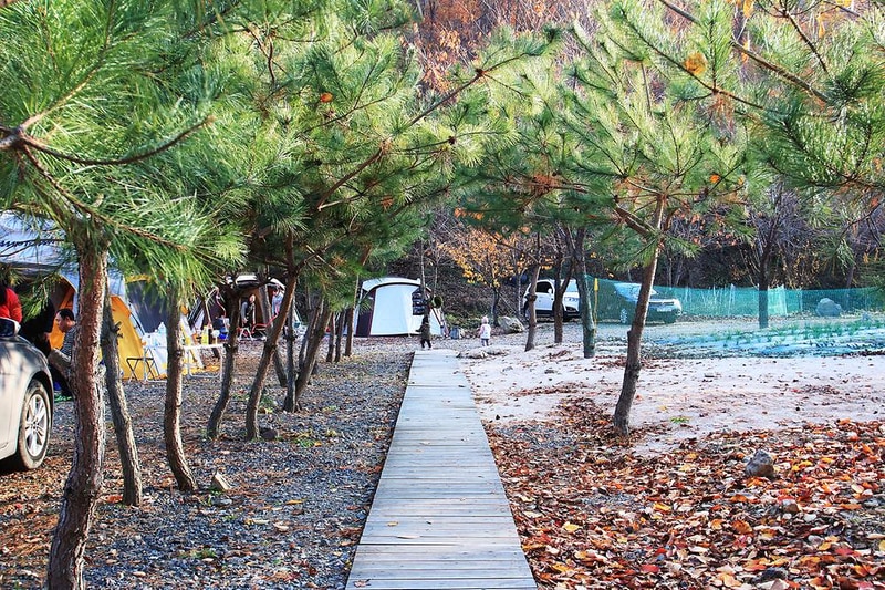 곤달비캠프 시설 사진 5