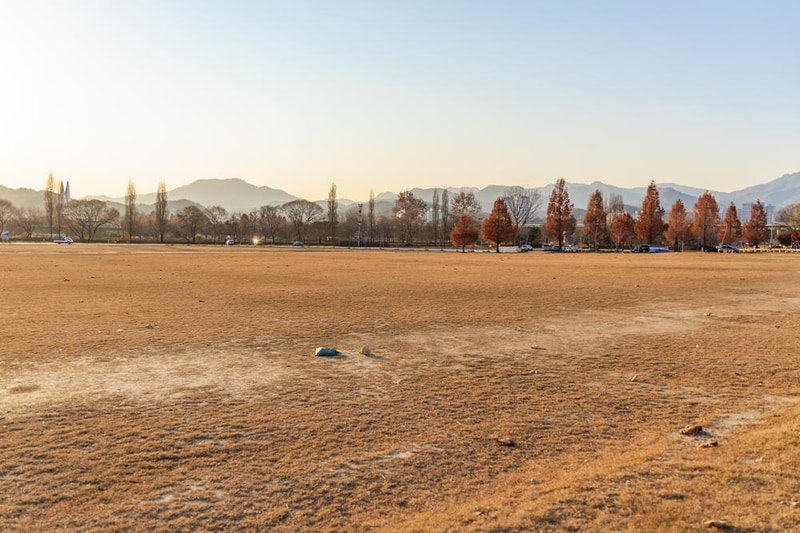 자라섬 캠핑장 시설 사진 77