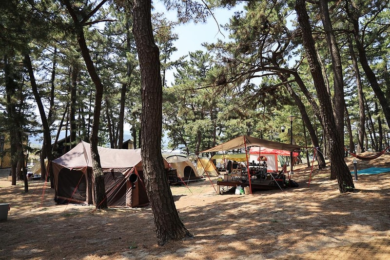 맹방 비치캠핑장 시설 사진 9