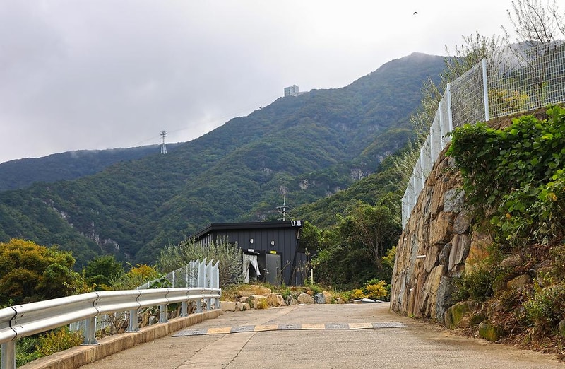 비타민 팜 오토캠핑장 시설 사진 2