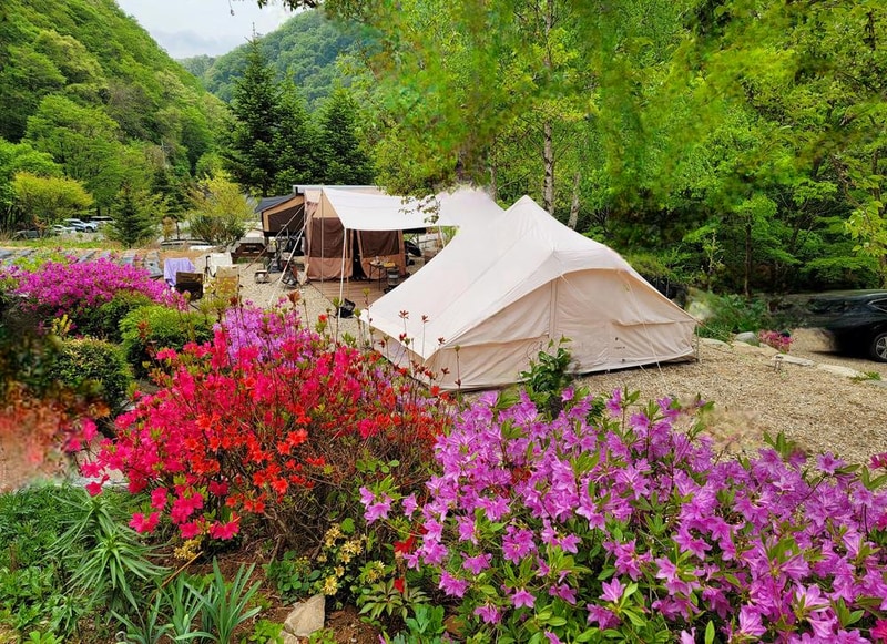 평창 자연속쉼표캠핑장 시설 사진 3