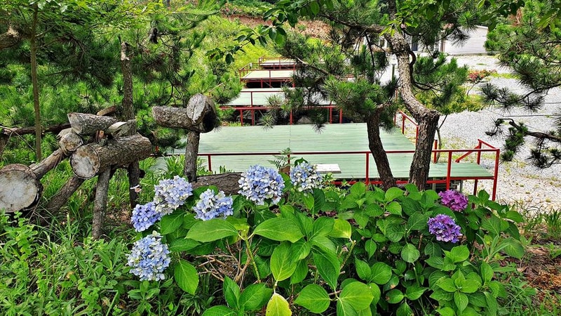 피구지 관광농원 시설 사진 33