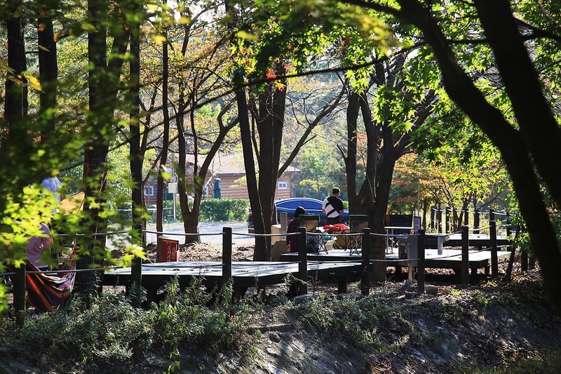 희리산 해송자연휴양림 일반야영장 시설 사진 1