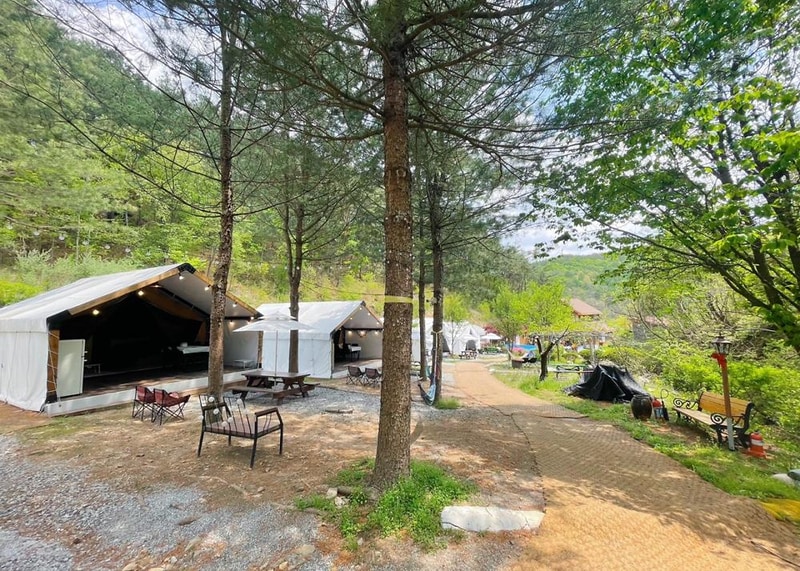 수피아글램핑펜션 시설 사진 12