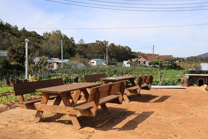 헬로 카라반 시설 사진 22