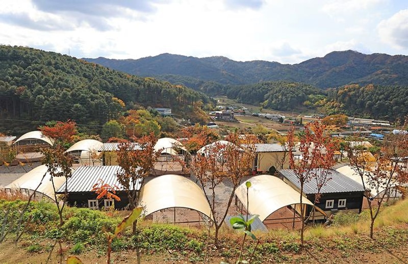 금동휴양림캠프2 대표 사진