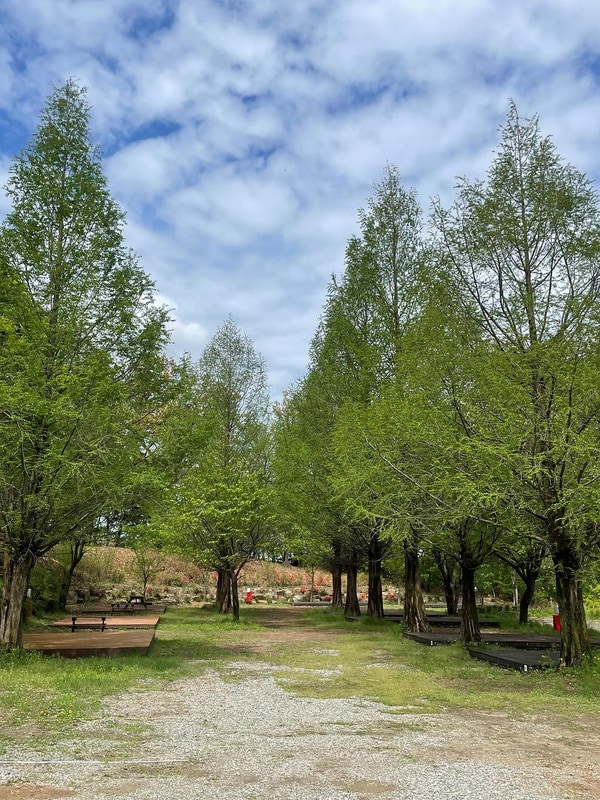 봄이오는 캠프 시설 사진 3