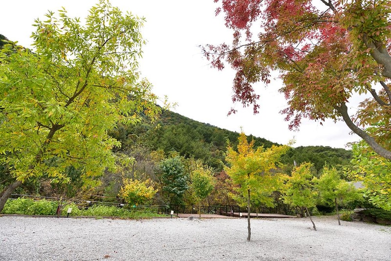 자우림캠핑장 시설 사진 4