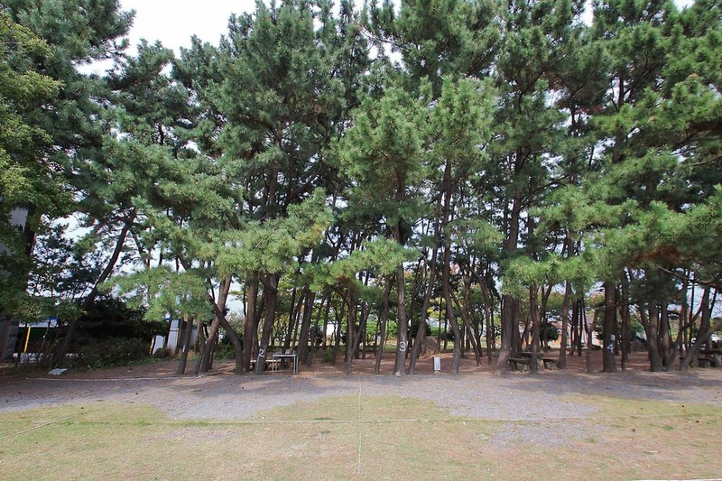 해오름 관광농원 시설 사진 6