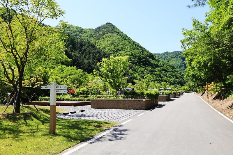 갯골자연휴양림 야영장 시설 사진 12