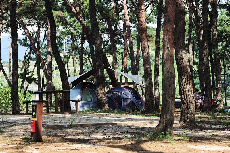 고사포야영장 시설 사진 11