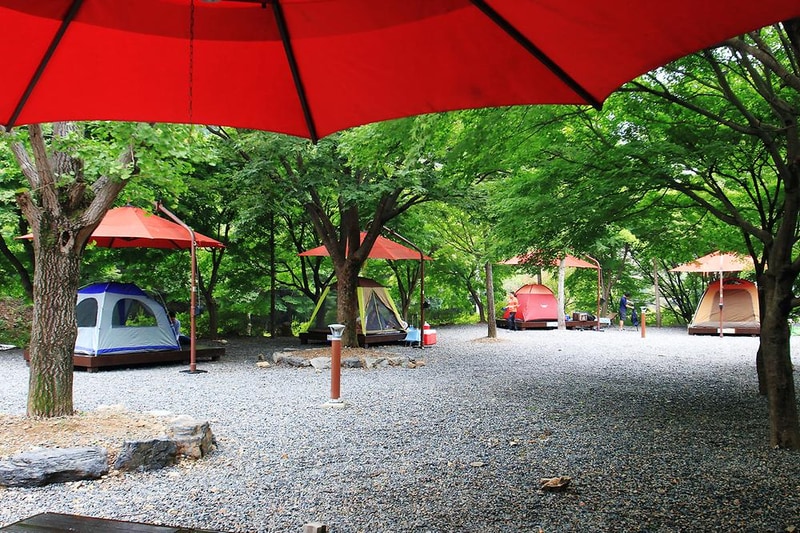 장령산자연휴양림 야영장 시설 사진 8