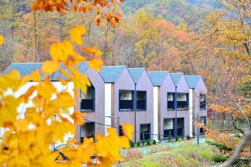 국립유명산자연휴양림 시설 사진 6