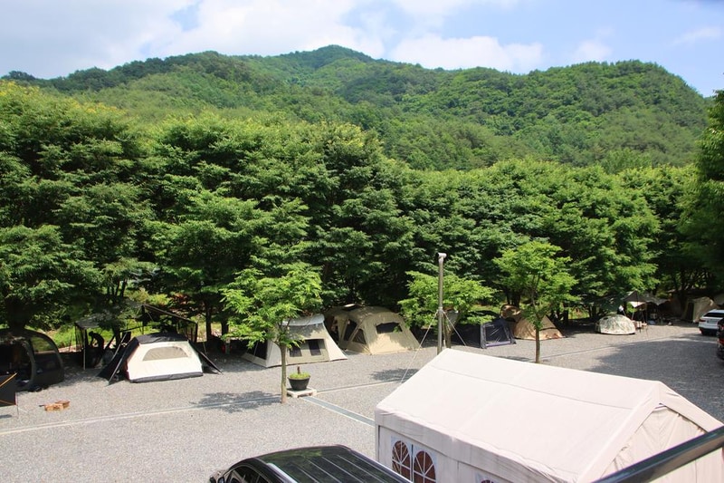 법흥계곡캠핑오늘 시설 사진 2