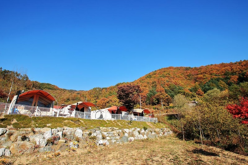 화니캠핑앤글램핑 시설 사진 11