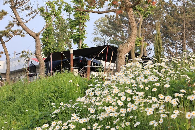 파도와노을캠핑장 시설 사진 1