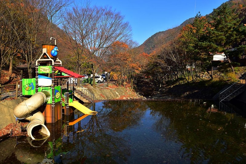 금산산림문화타운 시설 사진 2