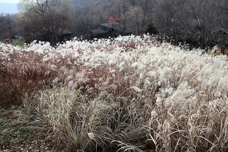 용인자연휴양림 시설 사진 4