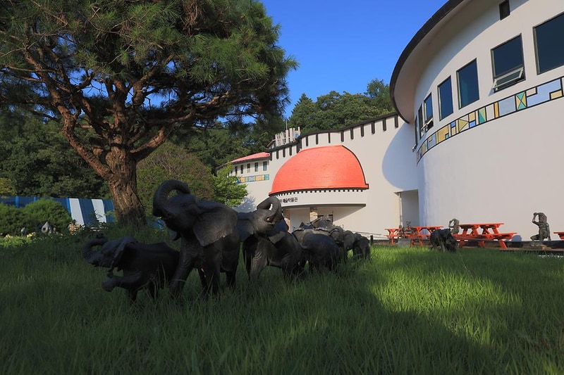 아프리카예술박물관 캠핑장 시설 사진 30