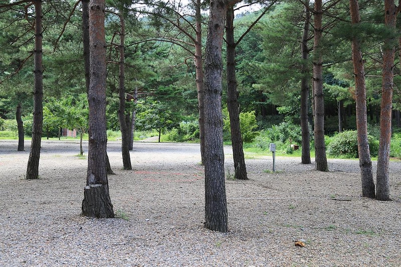 삼척엘림캠핑장 시설 사진 14
