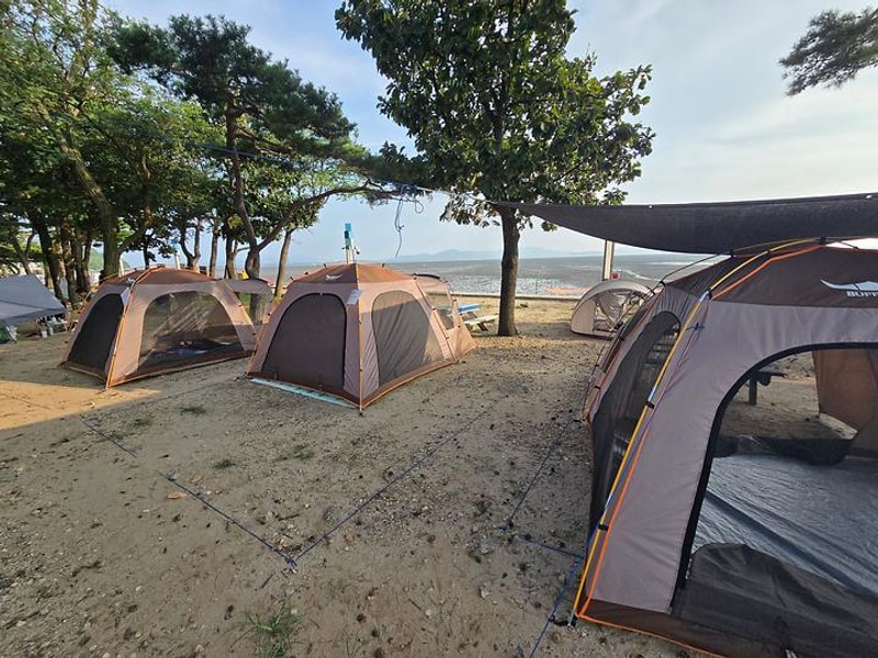 동막리 마을회 대표 사진