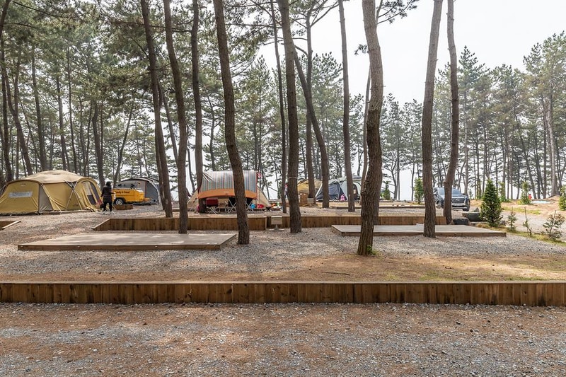 장항오토캠핑장 시설 사진 6