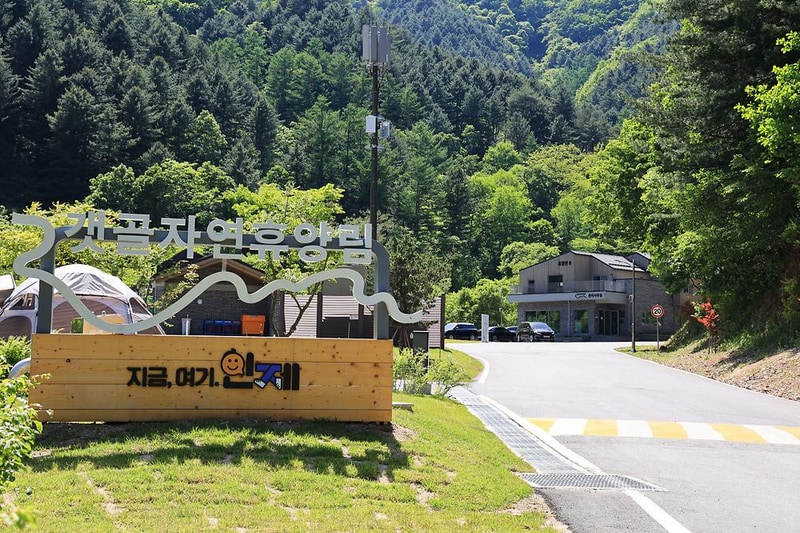 갯골자연휴양림 야영장 시설 사진 25