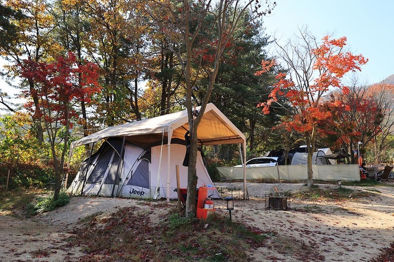 위드독스in포천 시설 사진 10