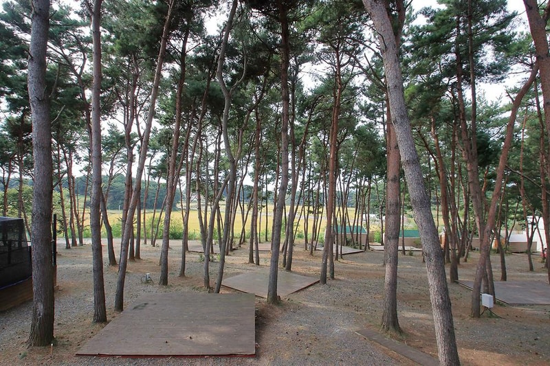 늘푸른캠핑장 시설 사진 3