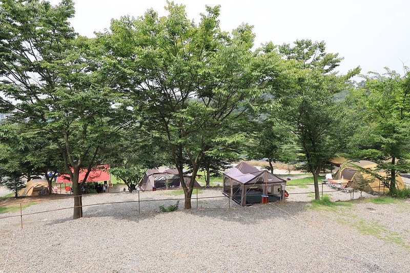 고래숲관광농원 시설 사진 6