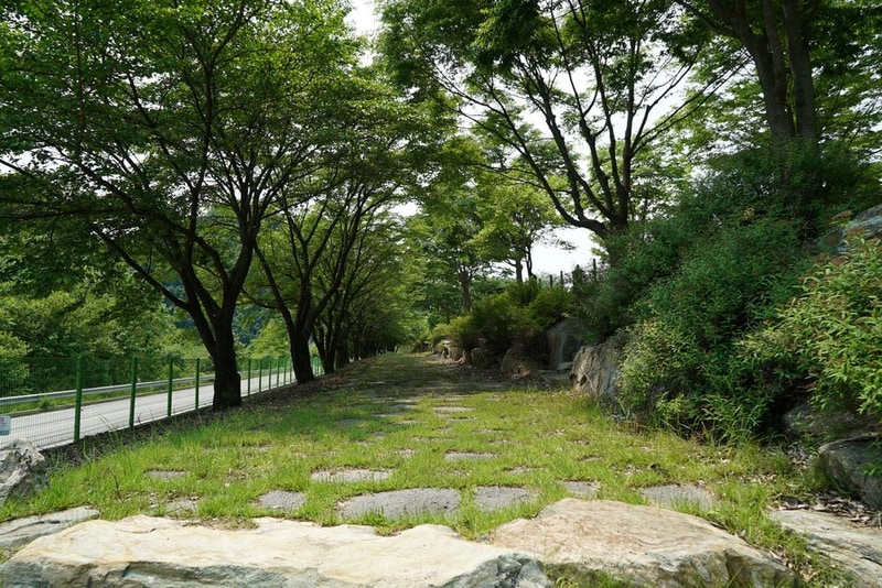 정선군생태체험학습장야영장 펫 동반 캠핑장 시설 사진 70