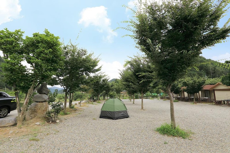 성주자연오토캠핑장 시설 사진 7