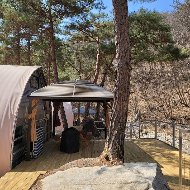 소나무세상 시설 사진 14