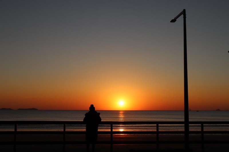 몽산포오토캠핑장 2구역 시설 사진 20