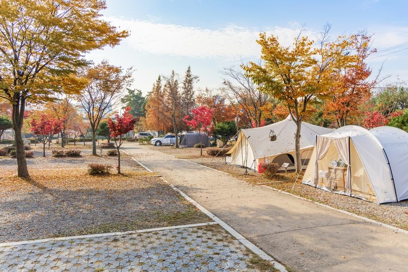 화성시 향남 오토캠핑장 시설 사진 77