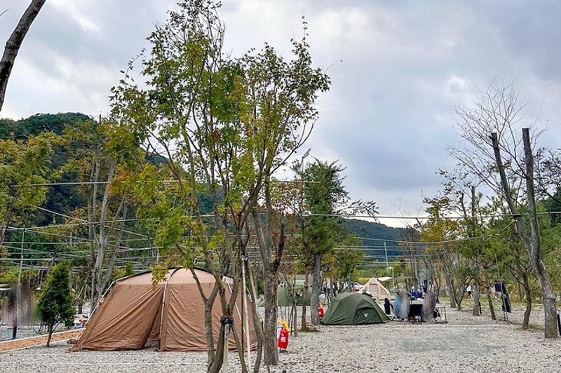 옥화 포시즌캠핑장 대표 사진