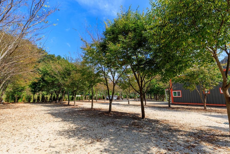 금산 자연 오토캠핑장 시설 사진 11