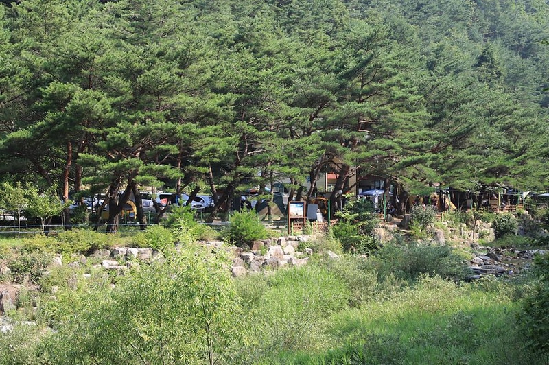 엄둔솔밭빌리지 시설 사진 9