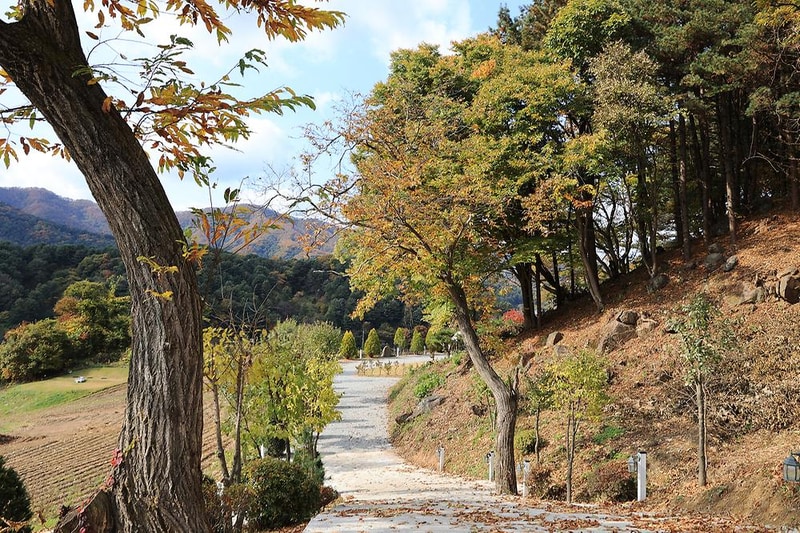 금동휴양림캠프2 시설 사진 15