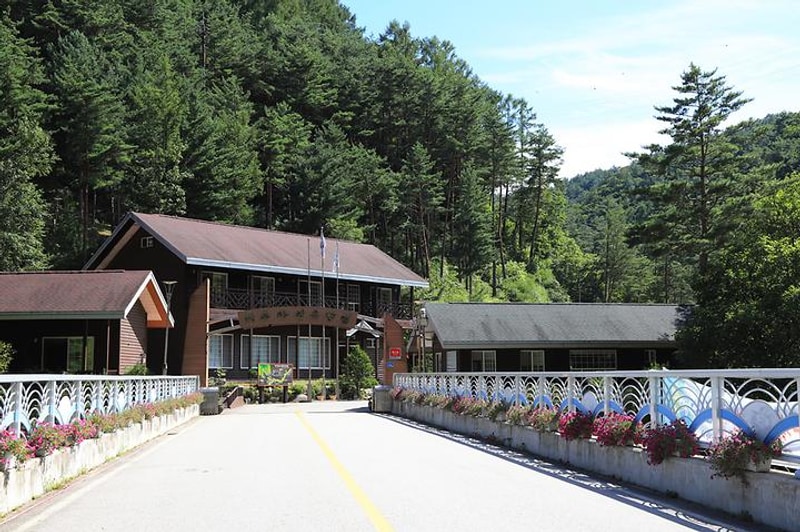 하추자연휴양림 야영장