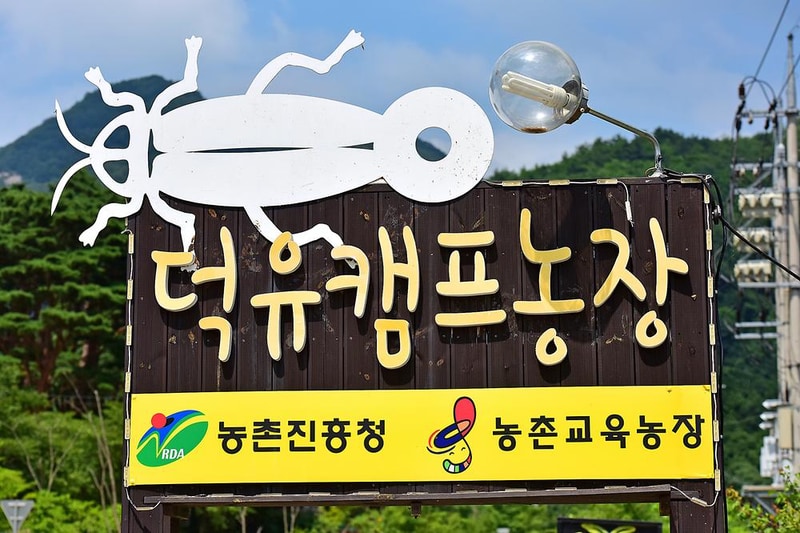 덕유캠프농장 시설 사진 13