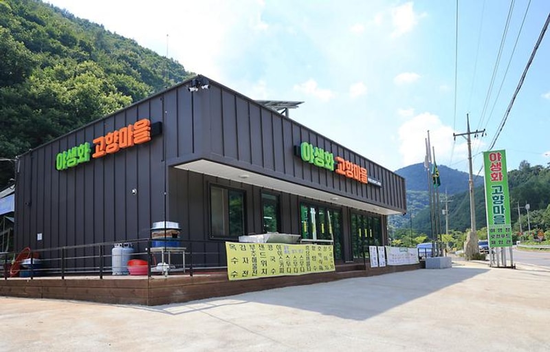 600마지기 가는길 야영장 대표 사진