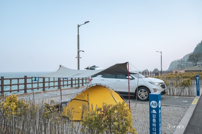 강릉 바다내음 캠핑장