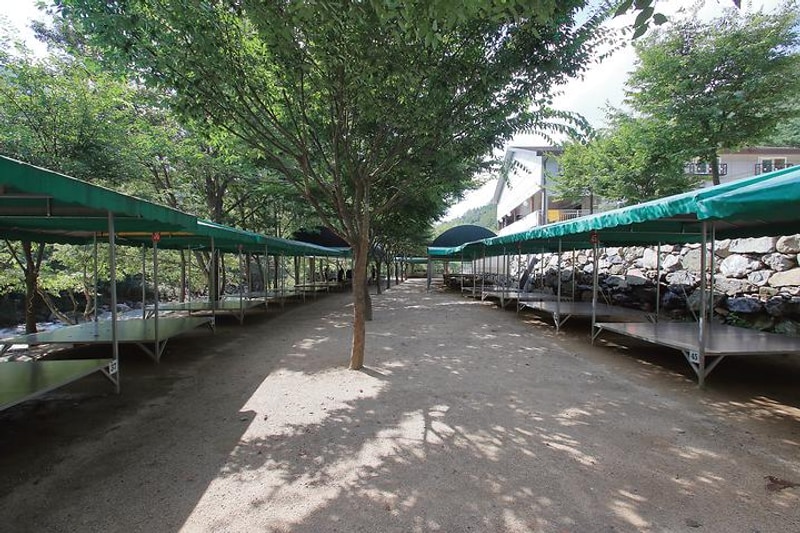 물소리풍경 캠핑장 대표 사진