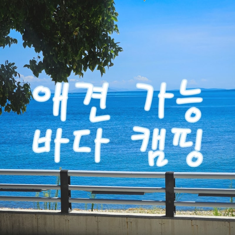 남해 초전마을 캠핑장 후기｜애견 동반 바다 캠핑 솔직 후기