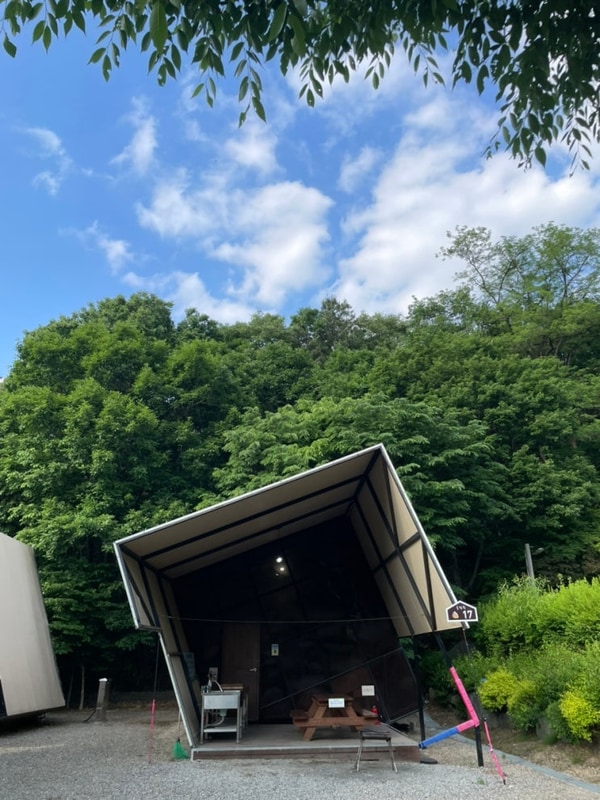 군포 초막골 생태공원 느티나무 야영장 방문 후기｜서울 근교...