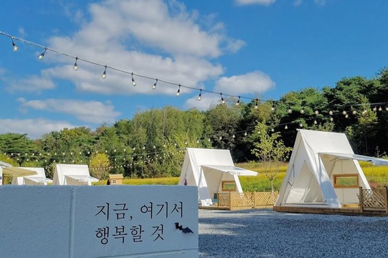 논논캠프 대표 사진