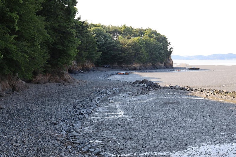 팔봉갯벌체험야영장 시설 사진 6