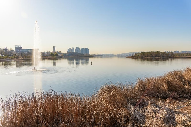 왕송호수 캠핑장 시설 사진 50