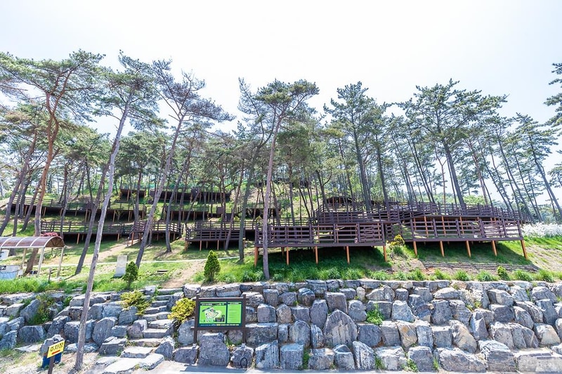 솔향기캠핑장 시설 사진 8